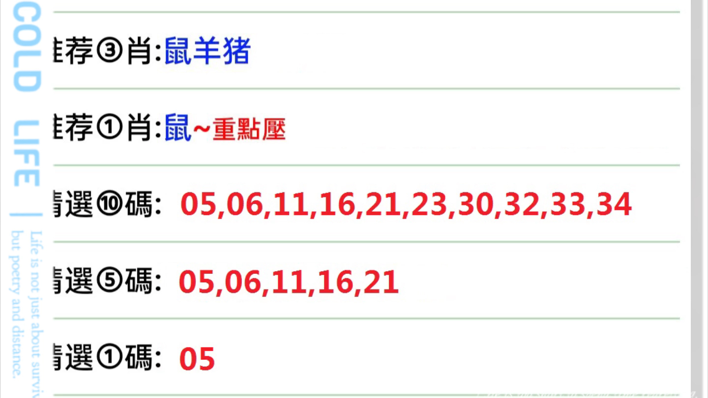 2024-2025澳门跟香港管家婆100%精准一肖三码中特;词语释义解释落实