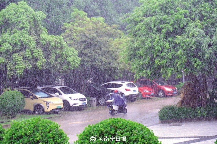 最新台风广西，风雨中的挑战与应对