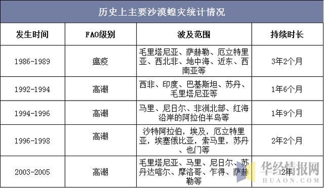 最新黄虫灾，现状、影响与应对策略