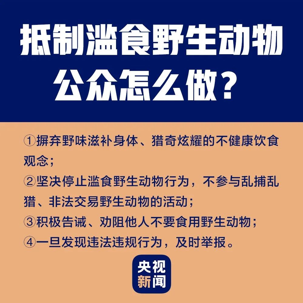 甲鱼禁食最新政策解读