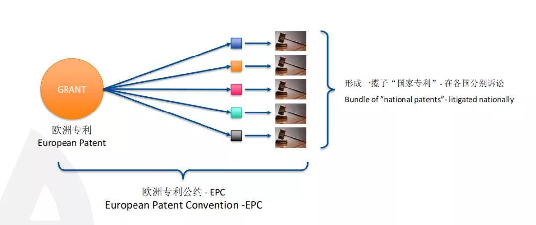 胡才发最新动态与影响