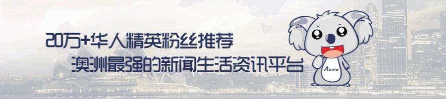 中国最新澳洲消息解析