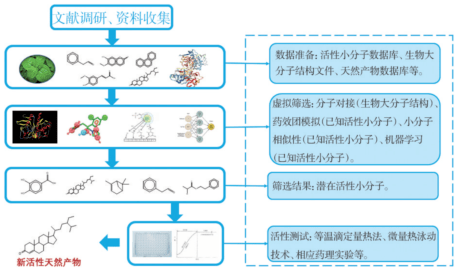 a酸最新研究，探索其作用机制与潜在应用