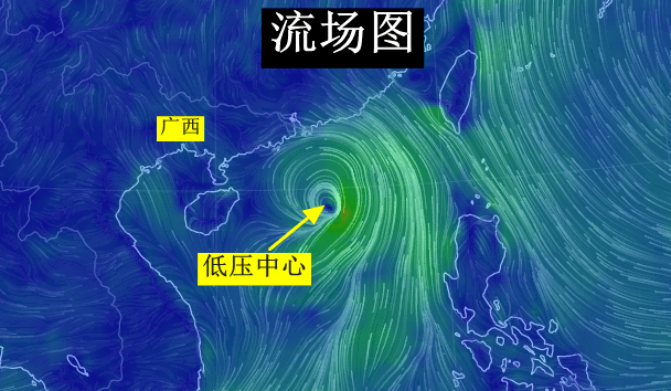 最新台风鹦鹉消息，风雨中的警报与应对