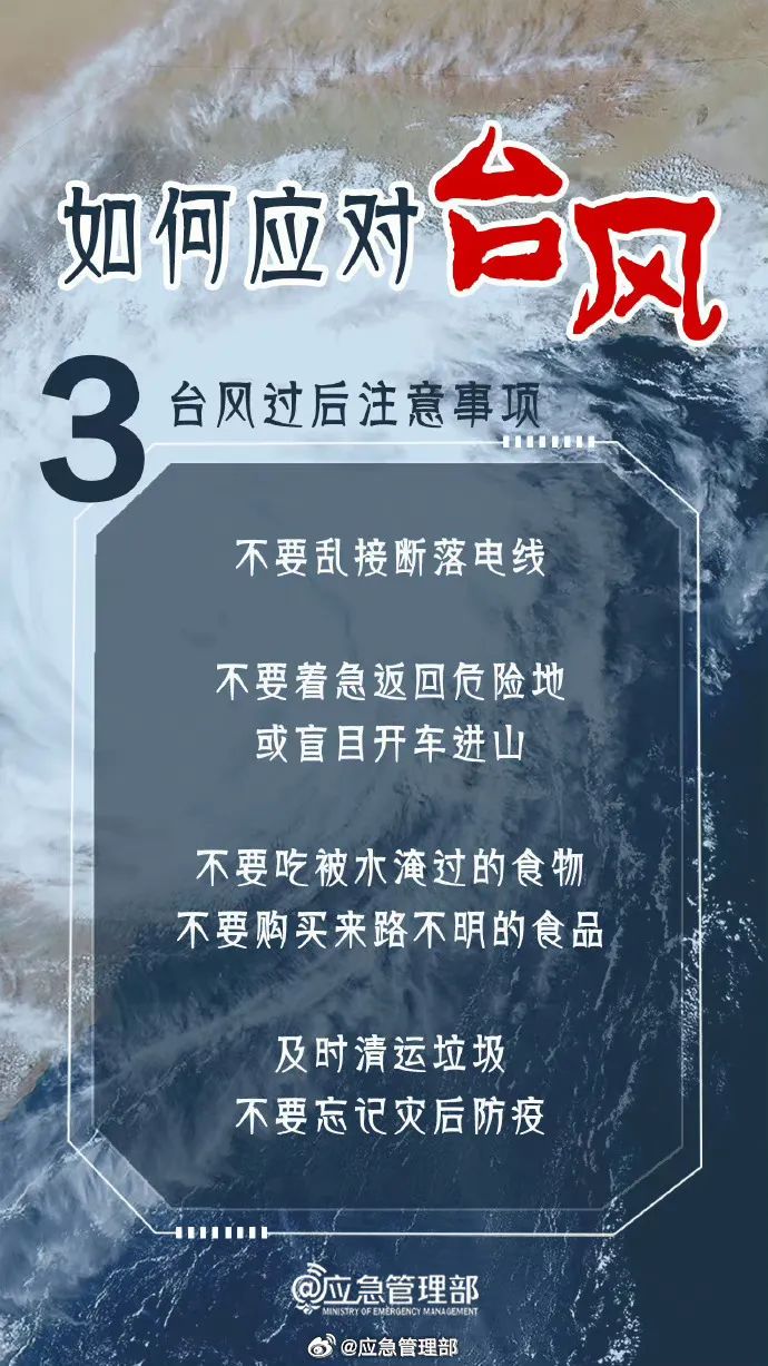 南方台风最新视频，风雨中的守护与应对