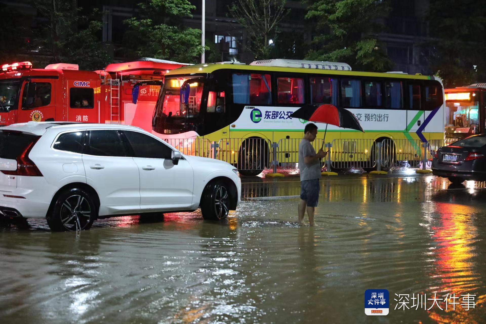 深圳暴雨最新状况，城市应对与民众生活观察